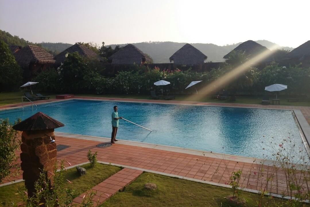 DIY vs Professional Pool Opening Services  