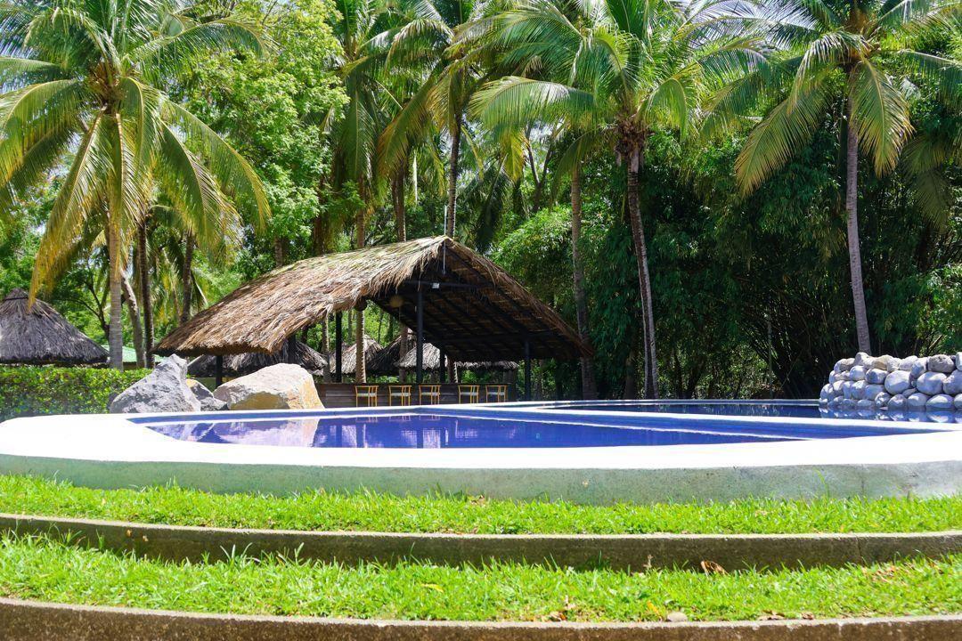Pool Safety Rules for Children and Pets  