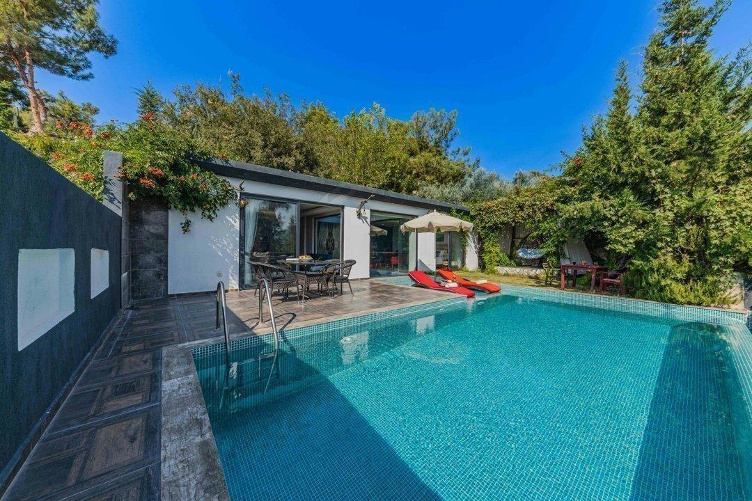 Understanding Pool Chemistry Basics  