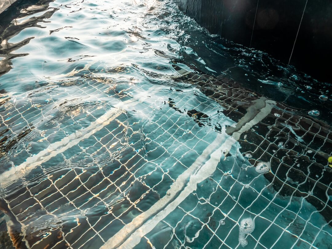 Water Quality Management and Seasonal Maintenance Image
